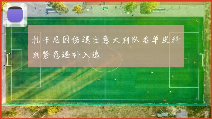 扎卡尼因伤退出意大利队名单皮科利紧急递补入选