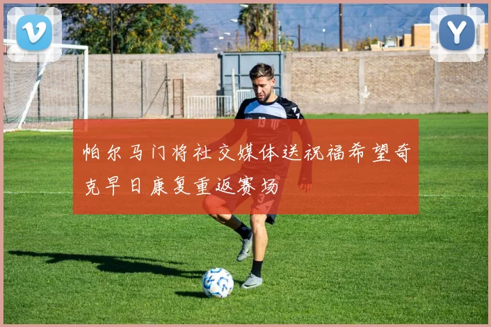帕尔马门将社交媒体送祝福希望奇克早日康复重返赛场