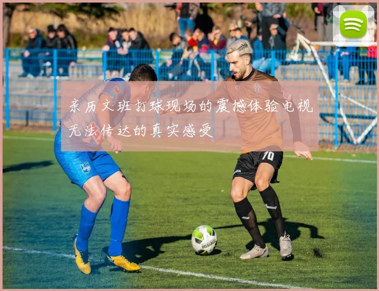 亲历文班打球现场的震撼体验电视无法传达的真实感受